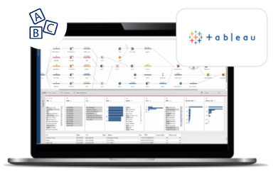 Tableau Desktop Beginner image